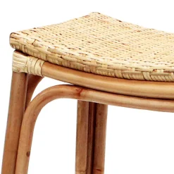 Set Of 2 Indah Rattan Backless Barstool, Honey Bargain Sale